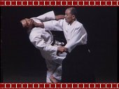 ���� ����� - ���������� ������� ������